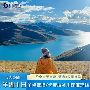 【8人团】西藏旅游羊卓雍措一日游卡若拉冰川环湖酒店接跟团游