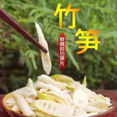 免切小竹笋嫩笋尖火锅炒菜食材