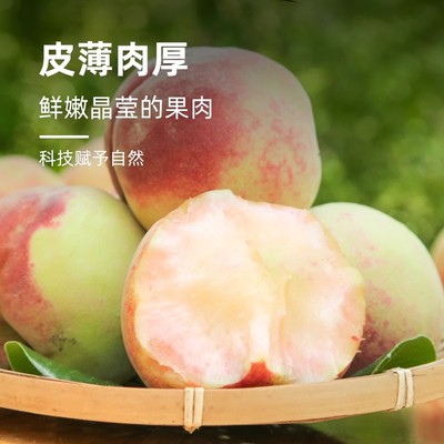 sj山西脆蜜桃头茬毛桃当季新鲜水果脆甜口