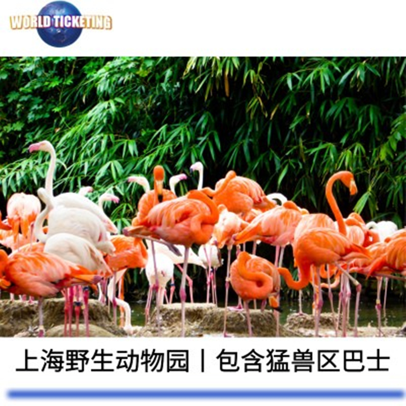 [上海野生动物园-大门票(当日10点后预订)]上海野生动物园门票