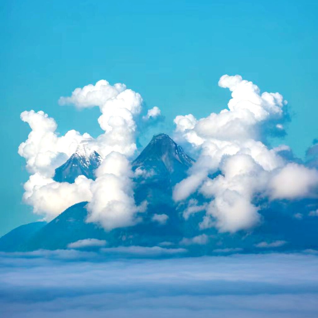 10年老店 领馆指定 出签率高 材料简单