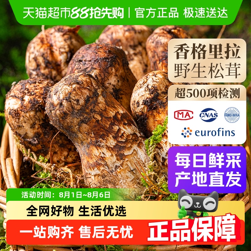 超市严选批批检测野生新鲜松茸鲜