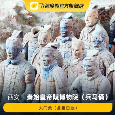 [秦始皇帝陵博物院（兵马俑）-大门票（含当日票）]秦始皇帝陵博物院（兵马俑）