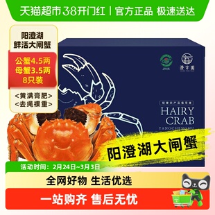 活蟹苏州澄方圆阳澄湖大闸蟹公4.5两母3.5两8只特大鲜活蟹礼盒装