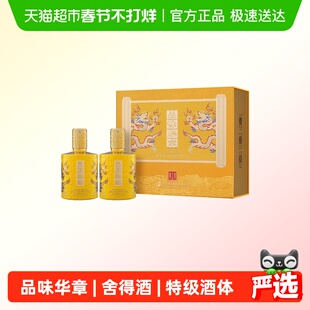 品味舍得酒浓香型白酒52度500MLX2双瓶送礼收藏品味华章礼盒装