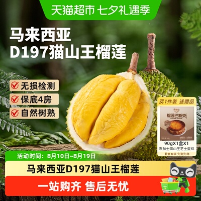 市舶士猫山王榴莲液氮锁鲜