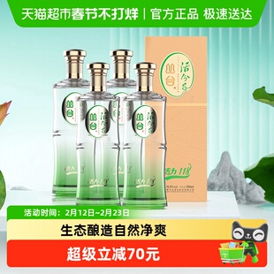 丛台 活分子活力118 浓香型白酒 38.8度 500ml*4瓶 整箱  自饮送