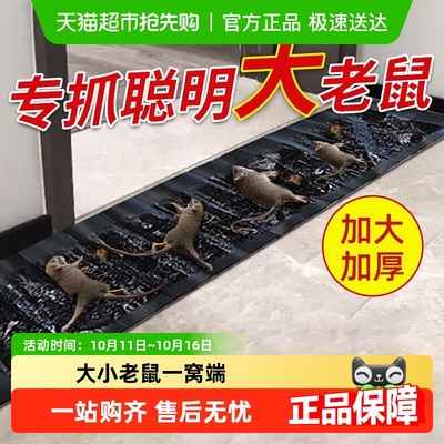强力粘家用捉灭鼠一锅端粘鼠板