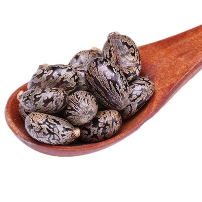 蓖麻子蓖麻籽500g包邮