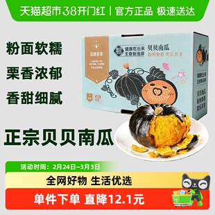 【繁花似锦】正宗贝贝南瓜粉面香甜板栗味南瓜礼盒装