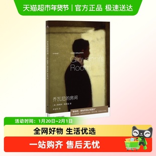 近乎快乐的故事 诺曼埃里克森小说青春文学乔瓦尼的房间夏日终曲