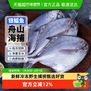 赫敏舟山银鲳鱼新鲜冷冻海鲜水产鲜活小鲳鱼昌鱼平鱼鲳鳊鱼非金鲳