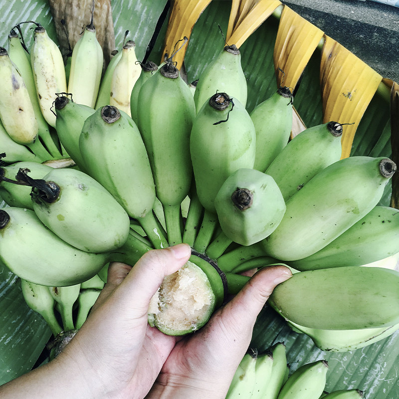 广西正宗小米蕉新鲜水果香蕉甜糯可口营养辅食整箱包邮青蕉发货