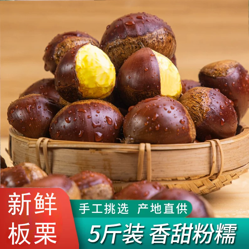 新鲜丹东板栗生栗子锥去毛球油栗新鲜当季生板栗