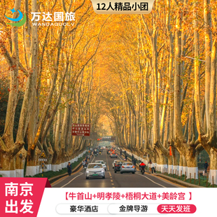 南京9/18人团总统府+美龄宫+明孝陵+中山陵梧桐大道 市区五钻