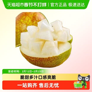 新疆库尔勒香梨新鲜水果当季脆甜多汁孕妇水果梨子当季酥脆水果