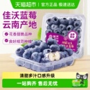 限定甄选大果新鲜鲜果送货上门 佳沃云南蓝莓当季 云南新产季
