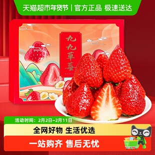 丹东草莓礼盒99红颜草莓精美礼盒产地直发