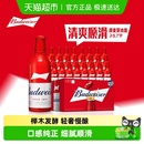 百威经典 铝瓶拉格啤酒9.7°P铝罐整箱批发