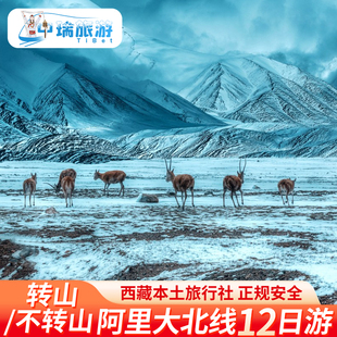 西藏旅游阿里大北线12天11晚含住宿珠峰冈仁波齐转山古格王朝纯玩