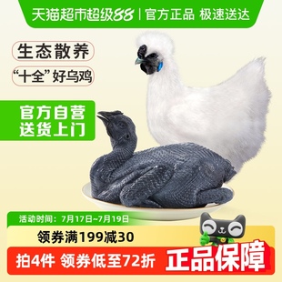 溫氏天露烏骨雞農(nóng)家土雞正宗走地烏雞農(nóng)場直供煲湯食材
