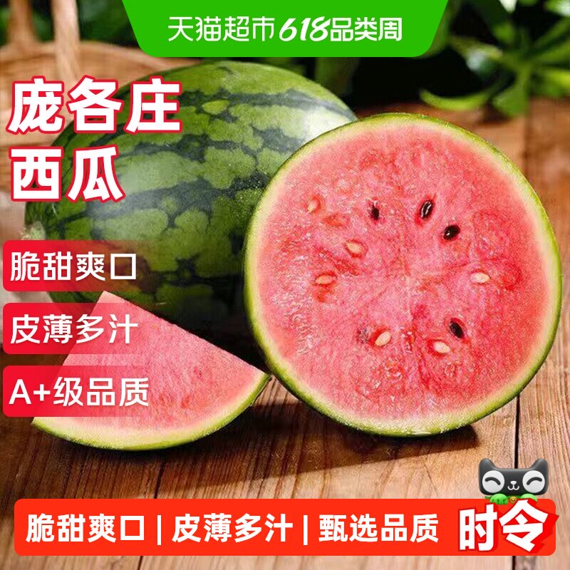 北京大兴庞各庄小西瓜袖珍品种迷你L600西瓜应当季新鲜水果整箱