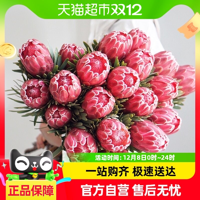 �Ϸǽ������л��������������ʻ���������ˮ�����Ļ�����ֲ����