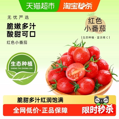 圣女果千禧小番茄