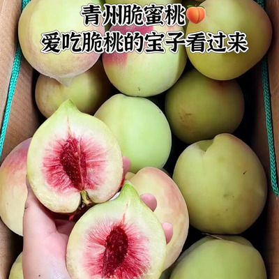 正宗山东现摘青州蜜桃3-5斤脆甜桃子新鲜冬雪水果毛桃水蜜桃冬桃