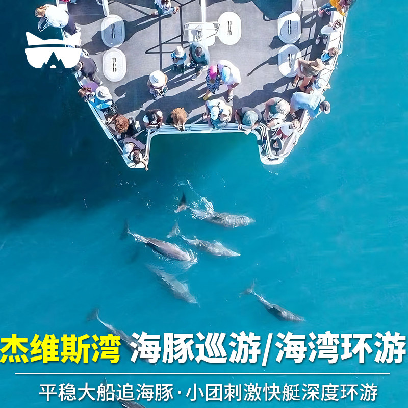 懒猫 澳洲旅游悉尼杰维斯湾海豚巡游 杰维斯湾环游英文大船/快艇