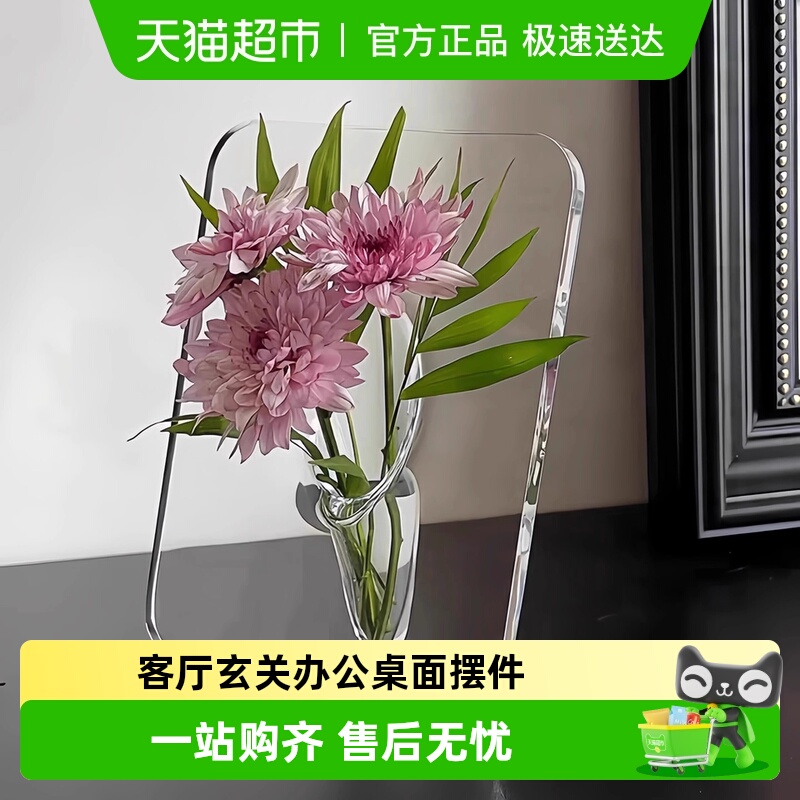 水培插花相框花瓶绿植桌面摆件