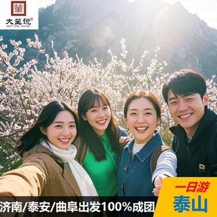 【天天发团】济南/泰安/曲阜出发·泰山一日游/含景交车|可选索道