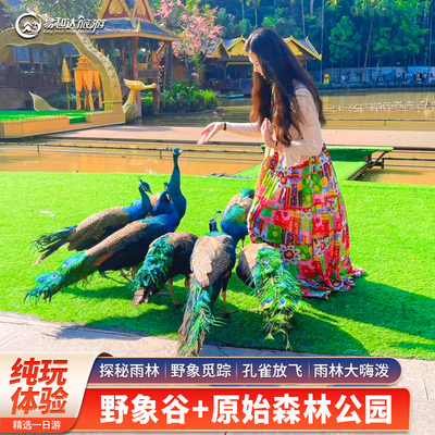 西双版纳一日游