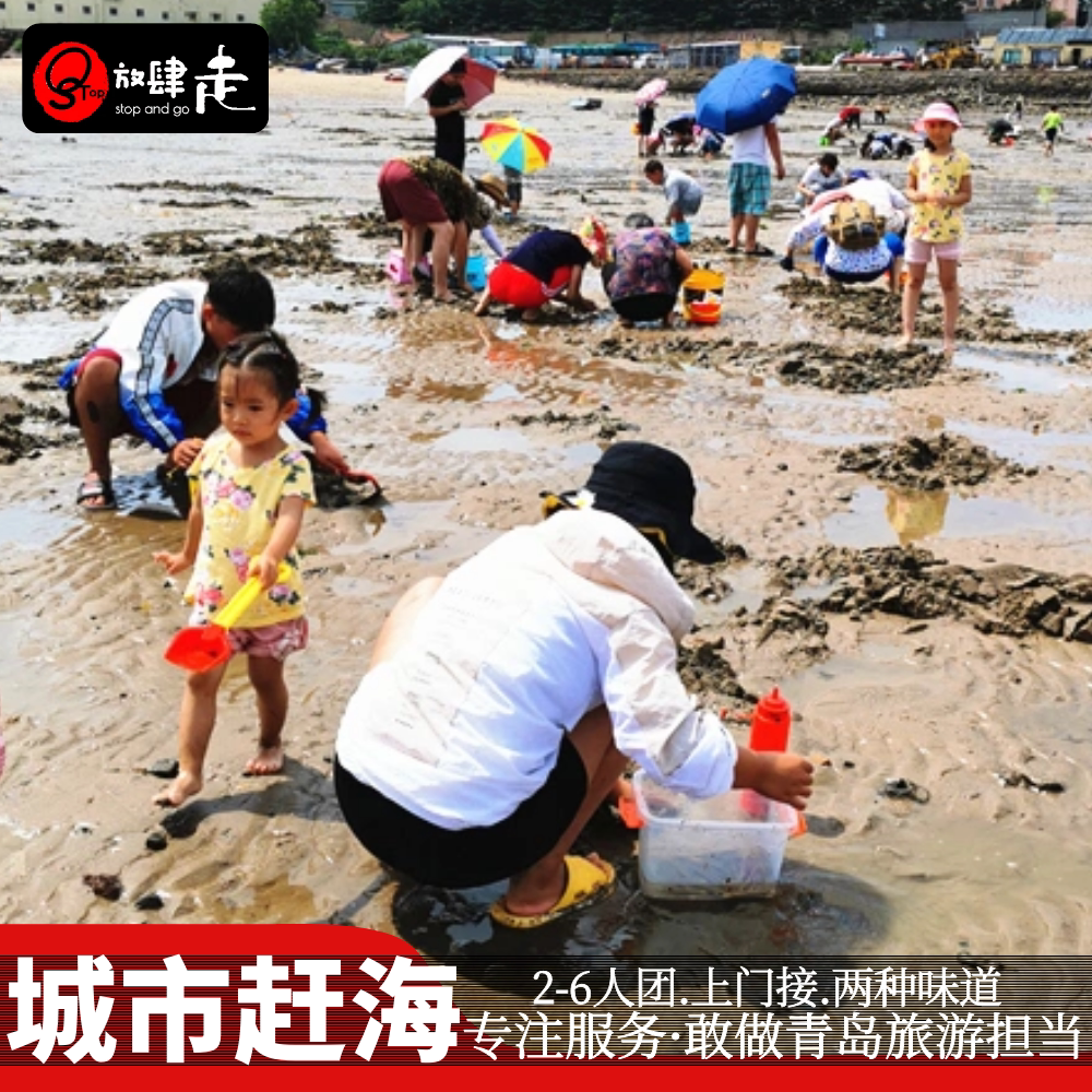 青岛一日游纯玩2-6人精品团秘境内跟团游