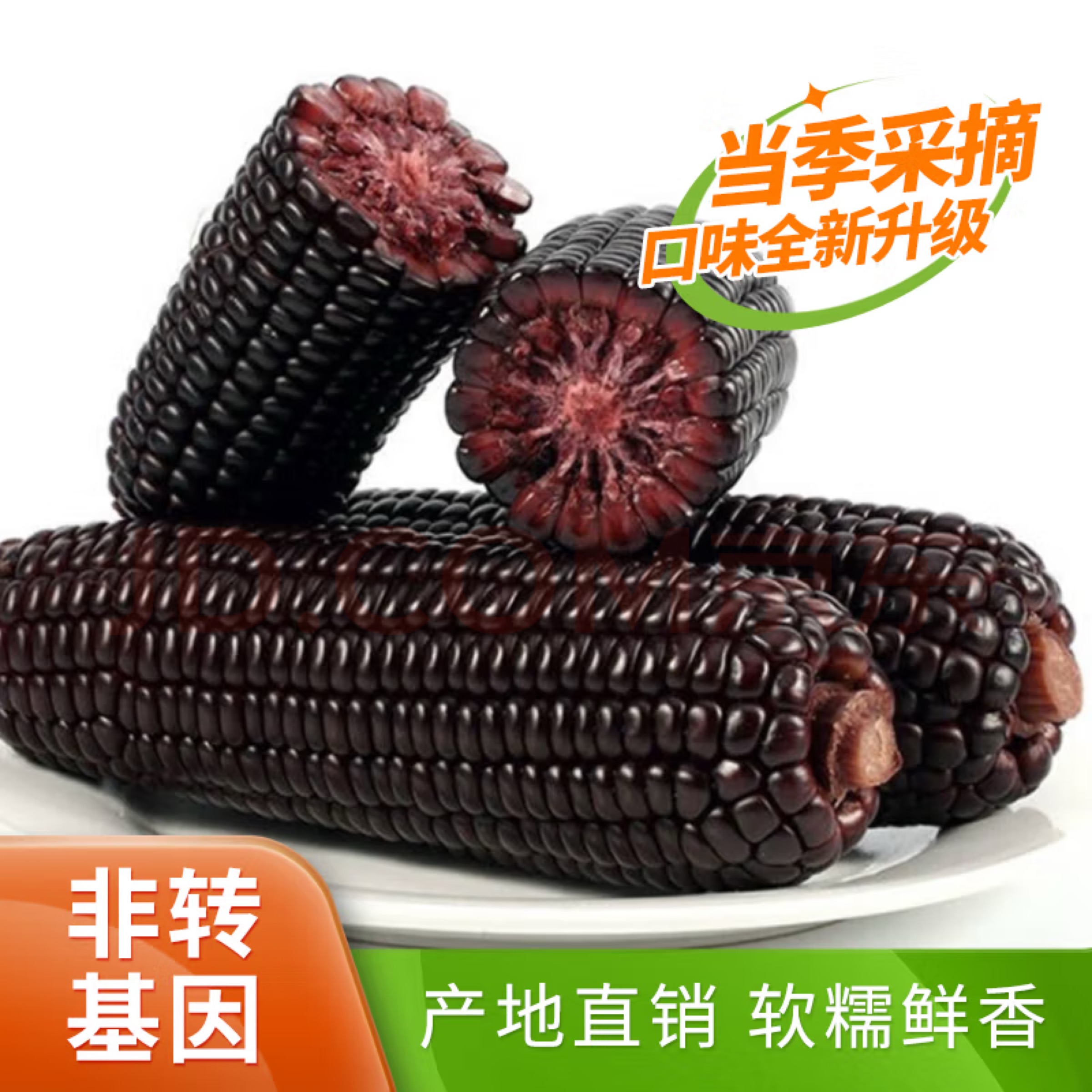 黑糯玉米当季山西糯玉米真空装新鲜粘玉米非即食甜糯大棒苞米