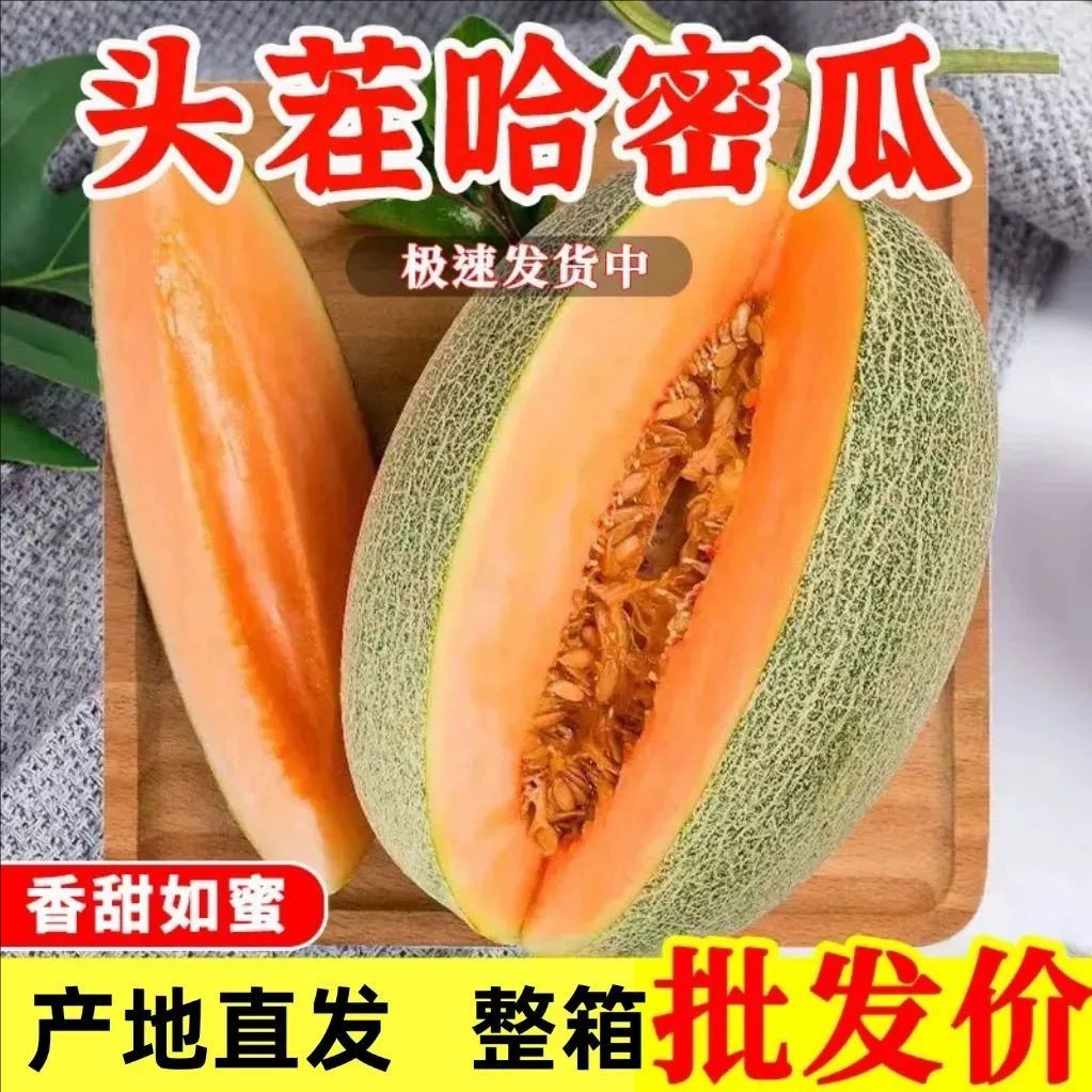 小蜜25哈密瓜当季现摘 脆甜可口