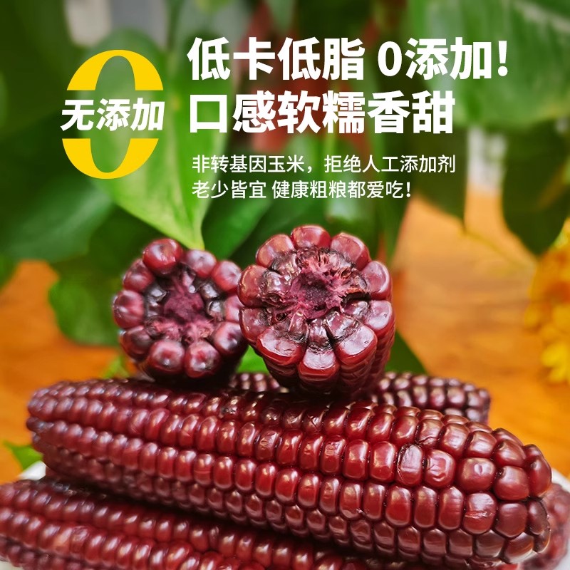 云南西双版纳新鲜手指嫩紫糯玉米香糯拇指小玉米本地特产