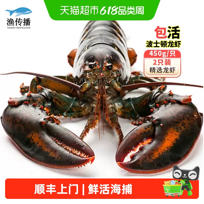 顺丰上门渔传播【鲜活现货】鲜活波士顿龙虾450g*2只海鲜水产送礼