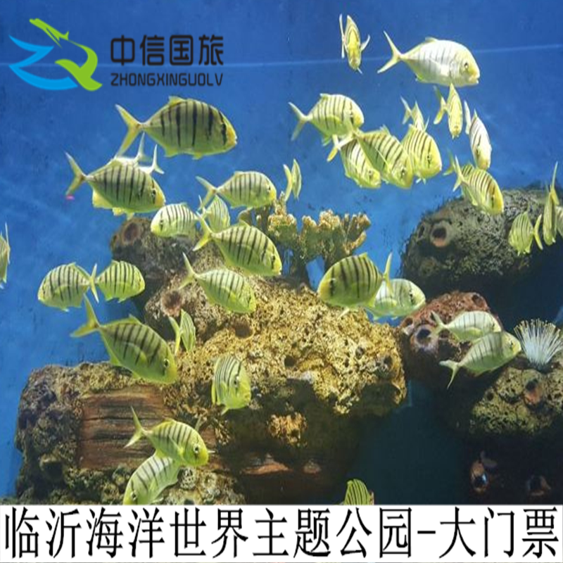 [临沂海洋世界主题公园-大门票国内票务
