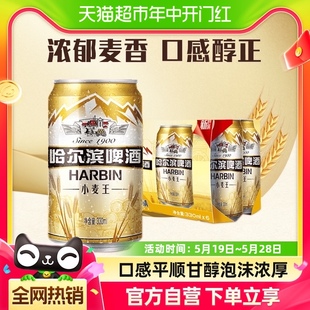 Beer Harbin 哈尔滨啤酒哈啤小麦王330ml 6听单提装 易拉罐