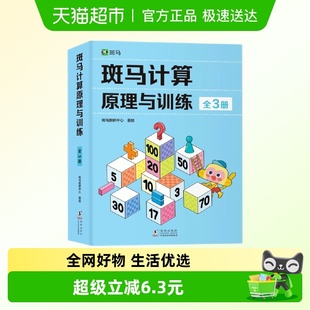 斑马计算原理与训练书幼儿逻辑思维训练加减法练习册练习题