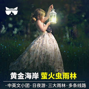 懒猫无小费小团黄金海岸萤火虫春之溪天宝林莱明顿蓝光萤火虫夜游