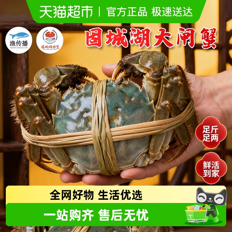 渔传播包活公母礼盒固城湖大闸蟹