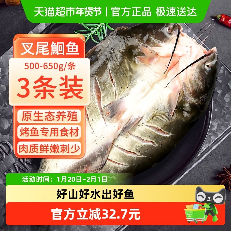 钓鱼记广东叉尾鮰鱼清江鱼二去净重冷冻烤鱼红烧烤500g-650g*3条,水产肉类/新鲜蔬果/熟食,淡水鱼类,淘宝优惠券,粉丝福利购,淘宝优惠卷