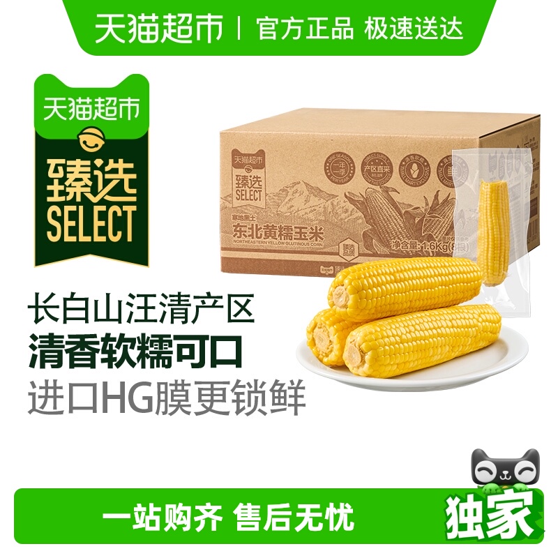 【臻选】黄糯玉米棒东北低脂粗粮饱腹粘糯苞谷免切新鲜真空装