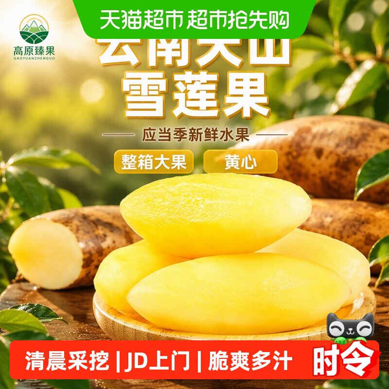 云南天山雪莲果应当季新鲜水果整箱大果非红心雪莲果黄心