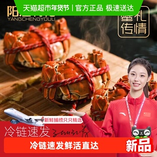 【4公4母】阳澄有礼大闸蟹礼盒公4.0两 母3.0两去绳净重足两速发