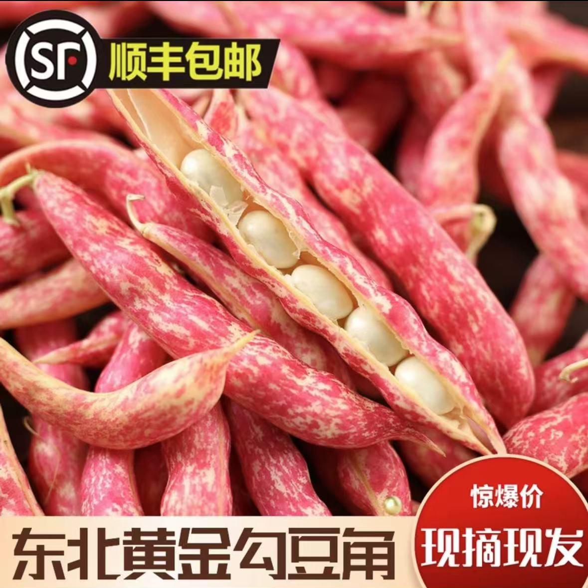 顺丰包邮  东北正宗红金钩豆角黄金钩现摘现发口感滑嫩营养丰富