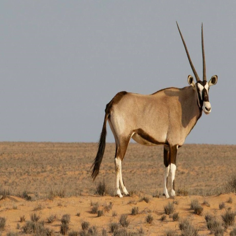 昆仑山口一日游精品小团