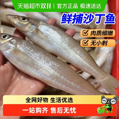 卖鱼郎先生沙丁鱼青岛海捕深海鱼